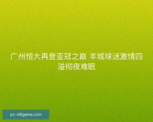 广州恒大再登亚冠之巅 羊城球迷激情四溢彻夜难眠 广州恒大再登亚冠之巅 羊城球迷激情四溢彻夜难眠