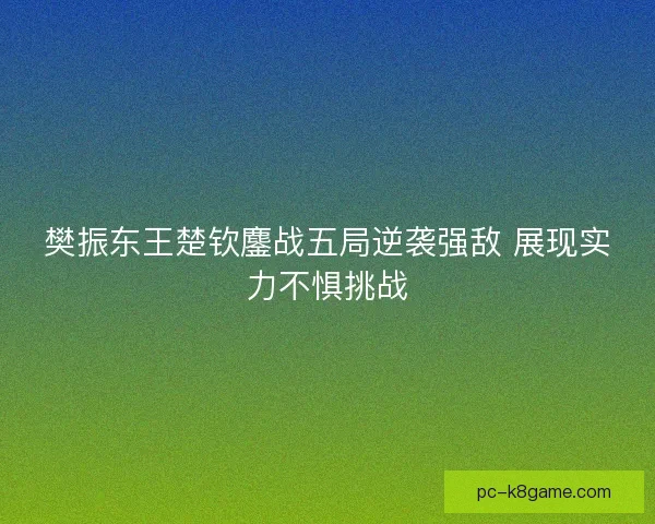 樊振东王楚钦鏖战五局逆袭强敌 展现实力不惧挑战